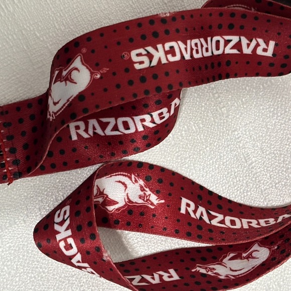 Arkansas Razorbacks Fan Lot – Lanyard, Keychain, Car Magnets, Emblem, Face Mask - Picture 11 of 11